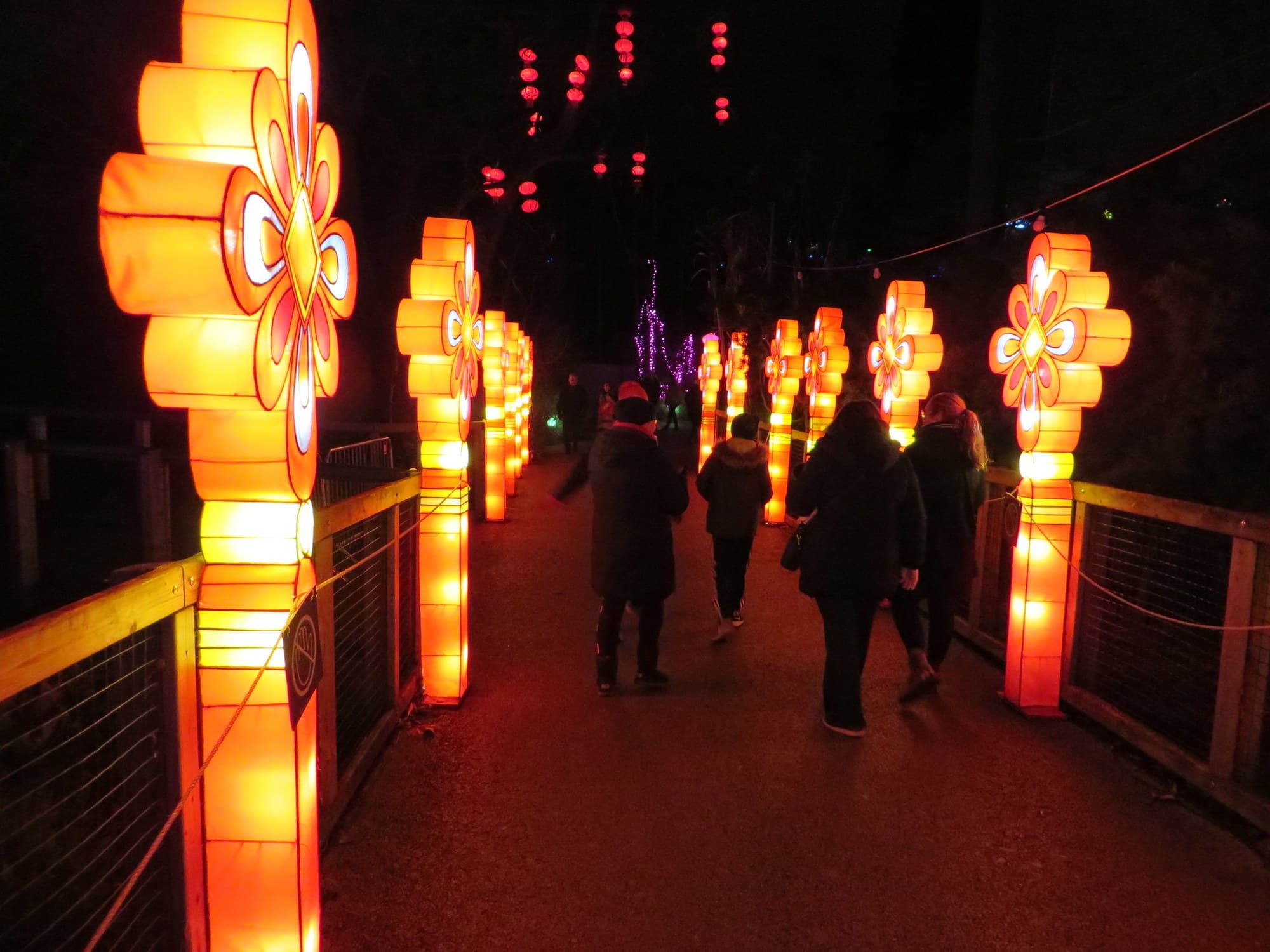 Visitors walking between glowing orange lantern sculptures at Dublin Zoo’s Wild Lights in December 2018